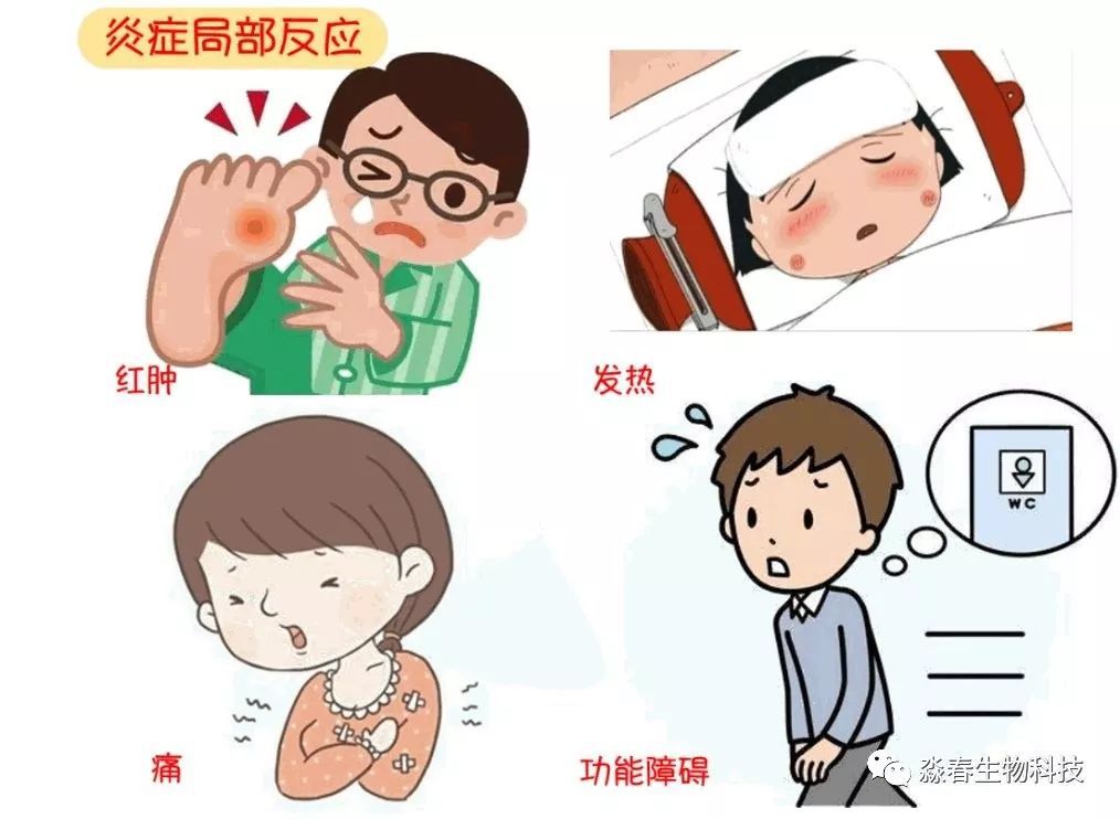 什么是炎症