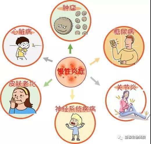 Odoo • 带有标题的图片