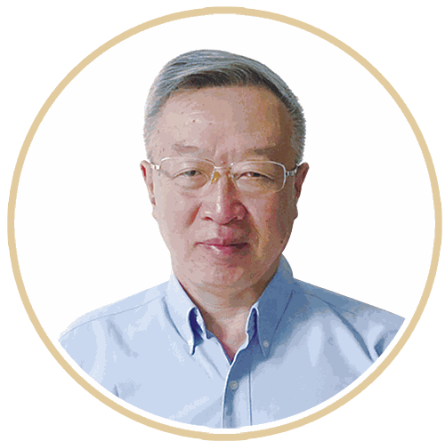 Odoo • 图像和文字