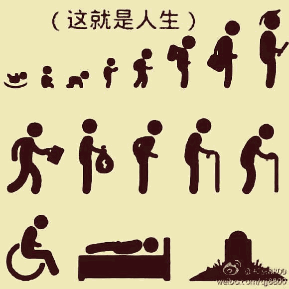 Odoo • 文字和图像